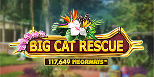 Big Cat RescueMegaways