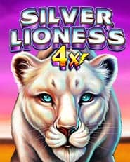 Silver Lioness
