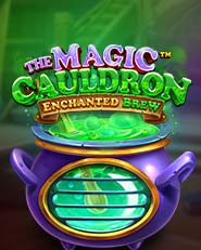 The Magic Cauldron - Enchanted Brew