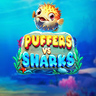 Puffers Vs Sharks