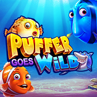 Puffer Goes Wild