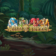 Wild Turkey