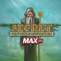 Secret Of The Stones Max