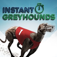 Insant Greyhounds