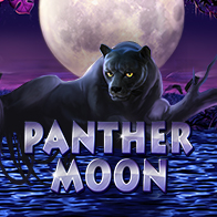 Panther Moon
