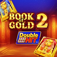 Book of Gold 2  Double Hit