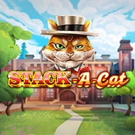 Stack-a-Cat