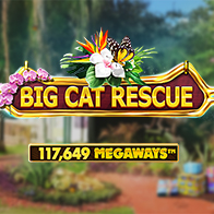 Big Cat RescueMegaways
