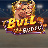 Bull in a Rodeo